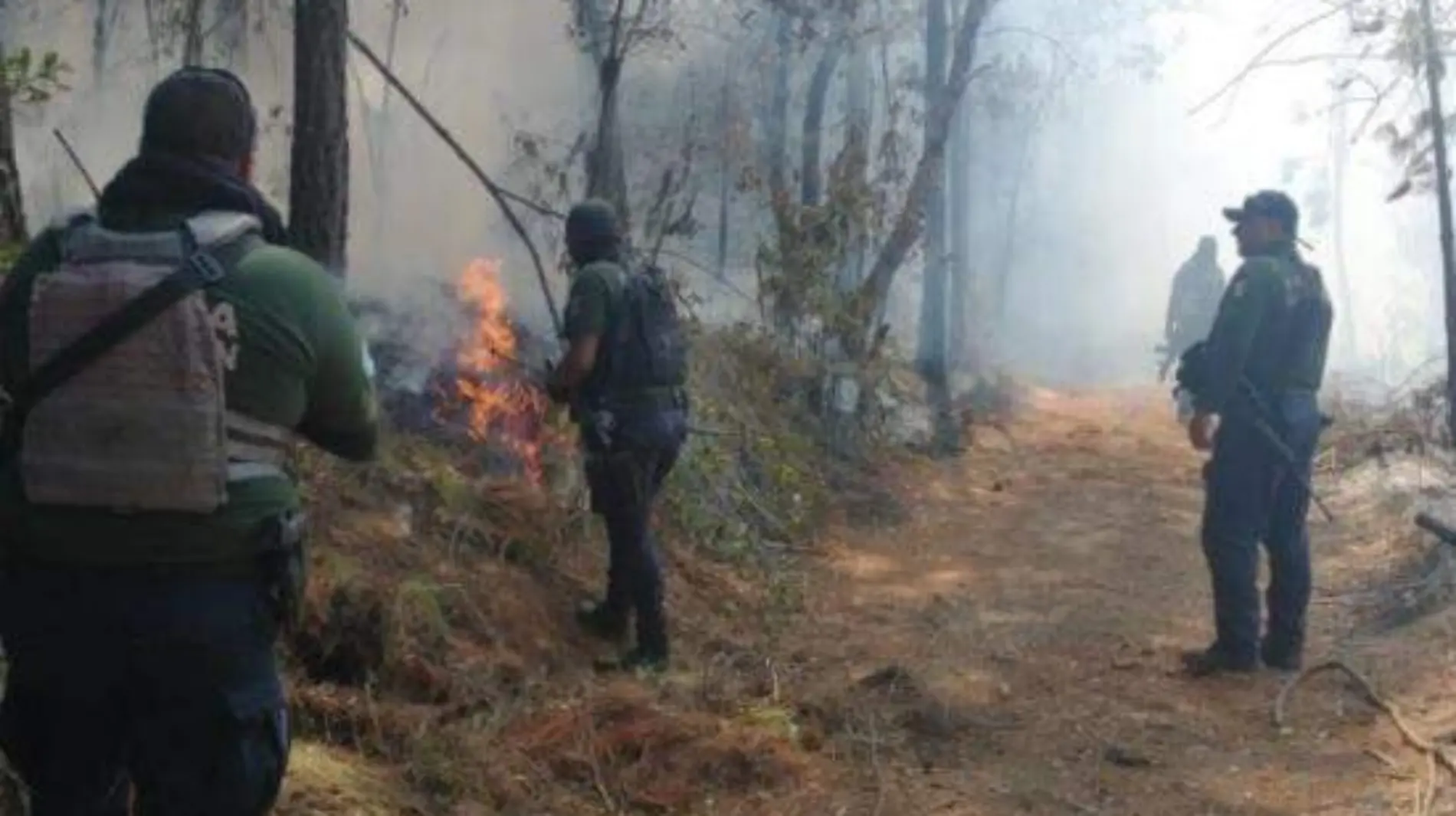 incendio forestal Ocampo